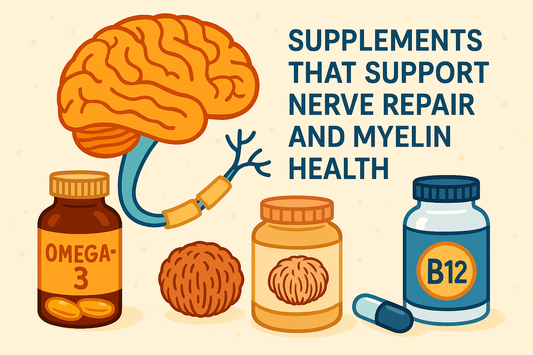 Supplements That Support Nerve Repair and Myelin Health