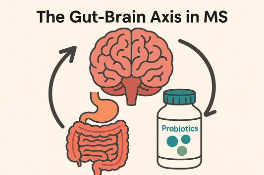 The Gut-Brain Axis in MS: How Digestive Supplements May Improve Neurological Symptoms