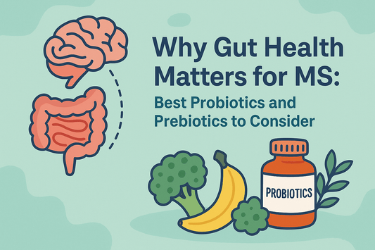 Why Gut Health Matters for MS: Best Probiotics and Prebiotics to Consider