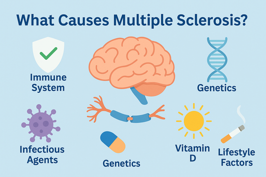 What Causes Multiple Sclerosis? A Friendly, In-Depth Look at the Root Factors